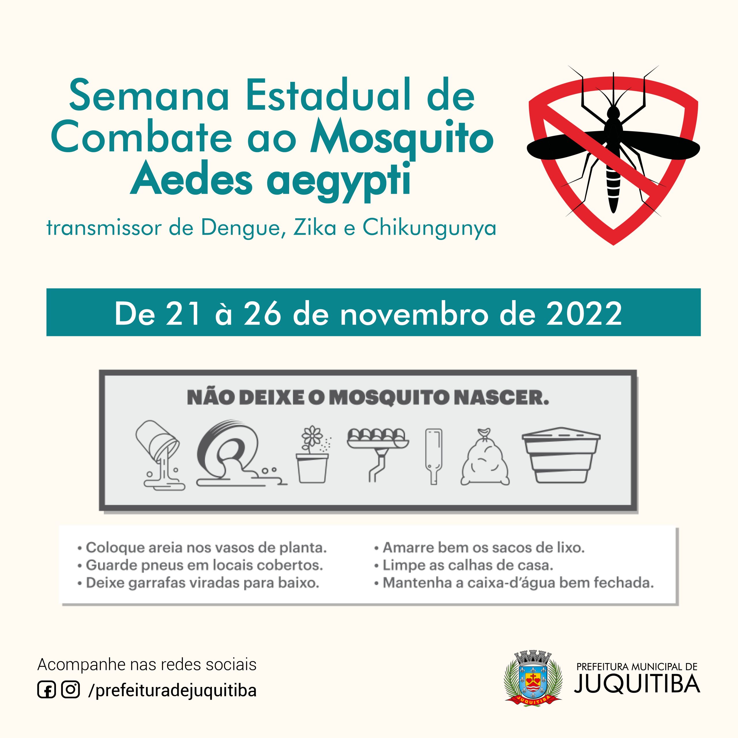Semana de Mobilização contra o Mosquito Aedes aegypti - Prefeitura  Municipal de Ituporanga